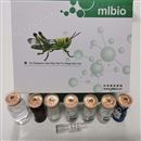 氮代谢系列/中亚硝酸盐含量测试盒/微量法