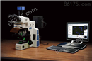 RX50 荧光显微镜