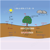 SPAC土壤植物大气连续监测系统
