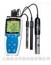 4-Star 便携式 pH/RDO 测量仪
