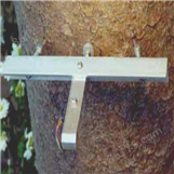 树干半径生长变化记录仪